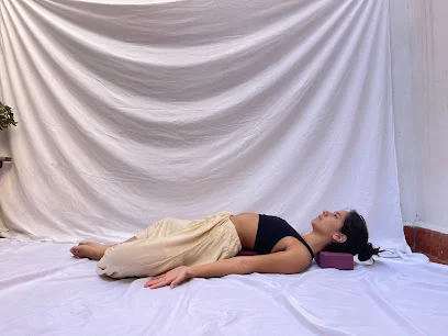 Flexibilidad Consciente - Camila Escamilla