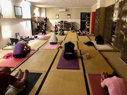 Fundació Lotus Blau Yoga