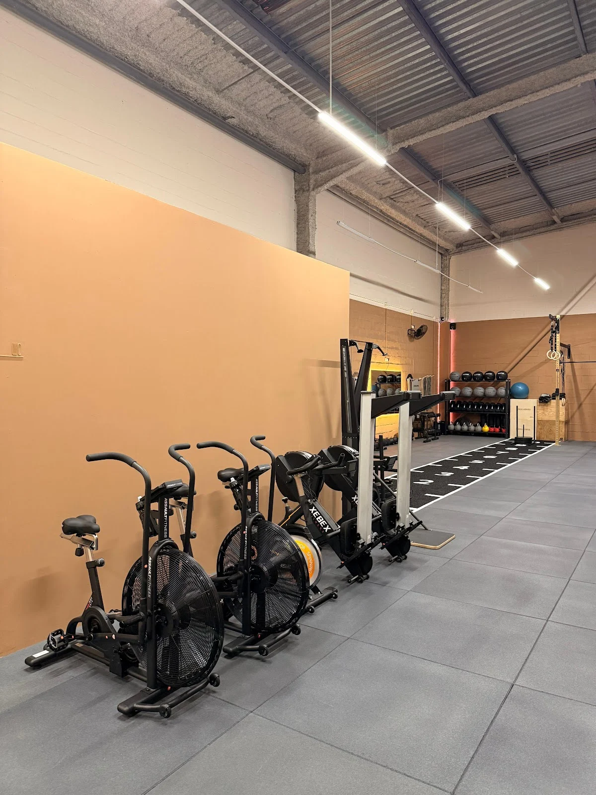 Gámez Trainers Performance Studio - 2