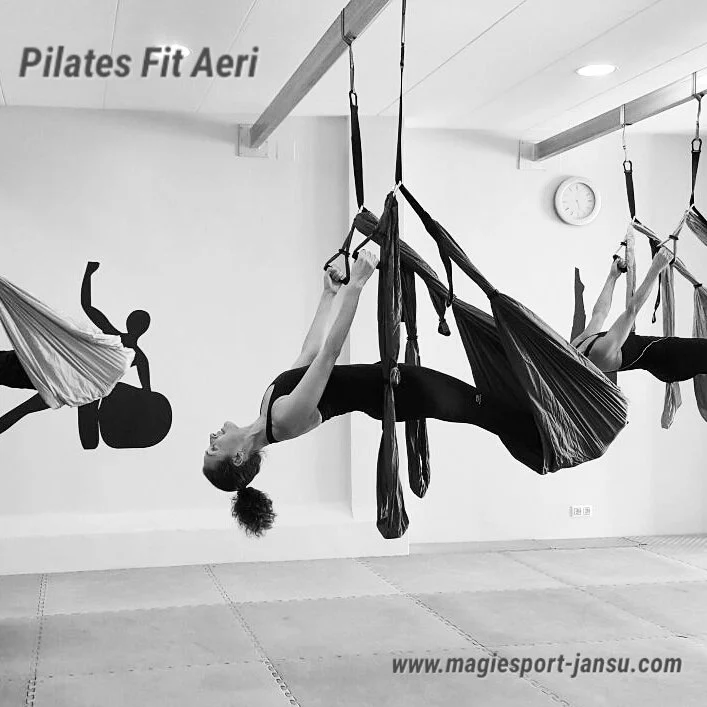 Gimnàs i Centre de Fisioteràpia Magiesport