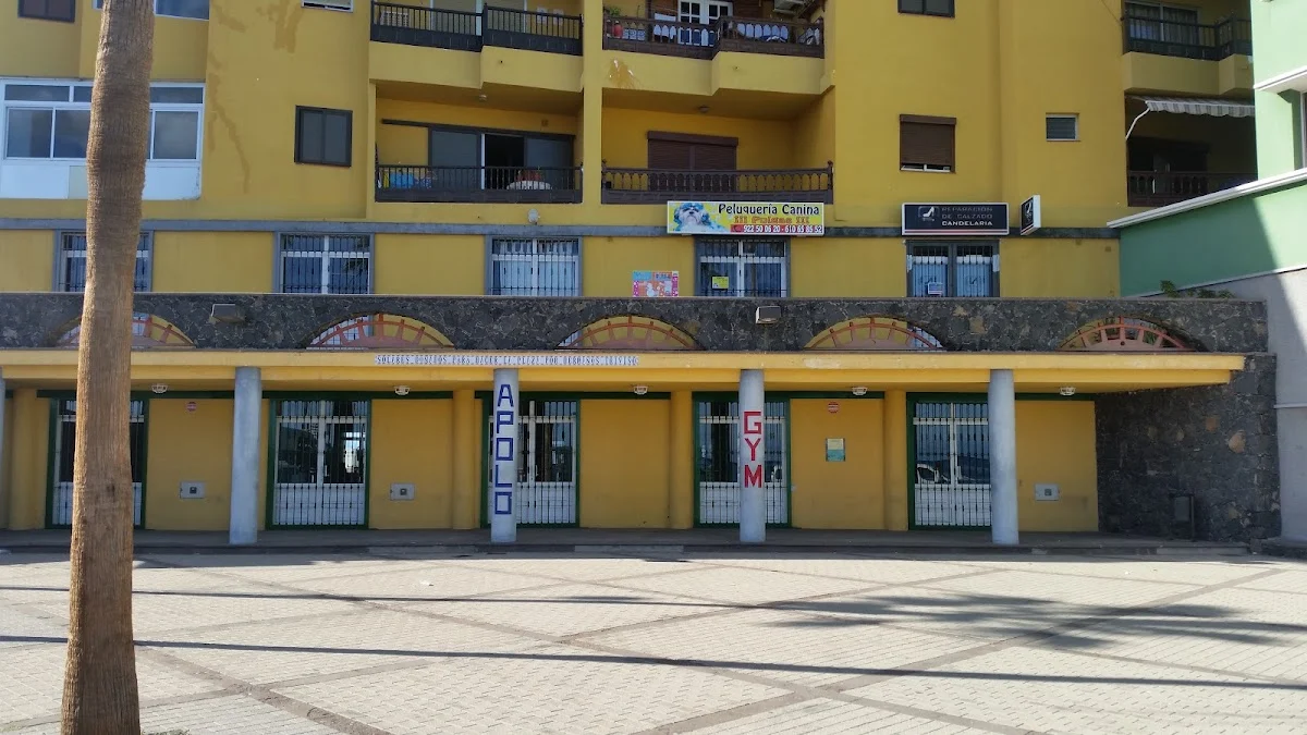 Gimnasio Apolo