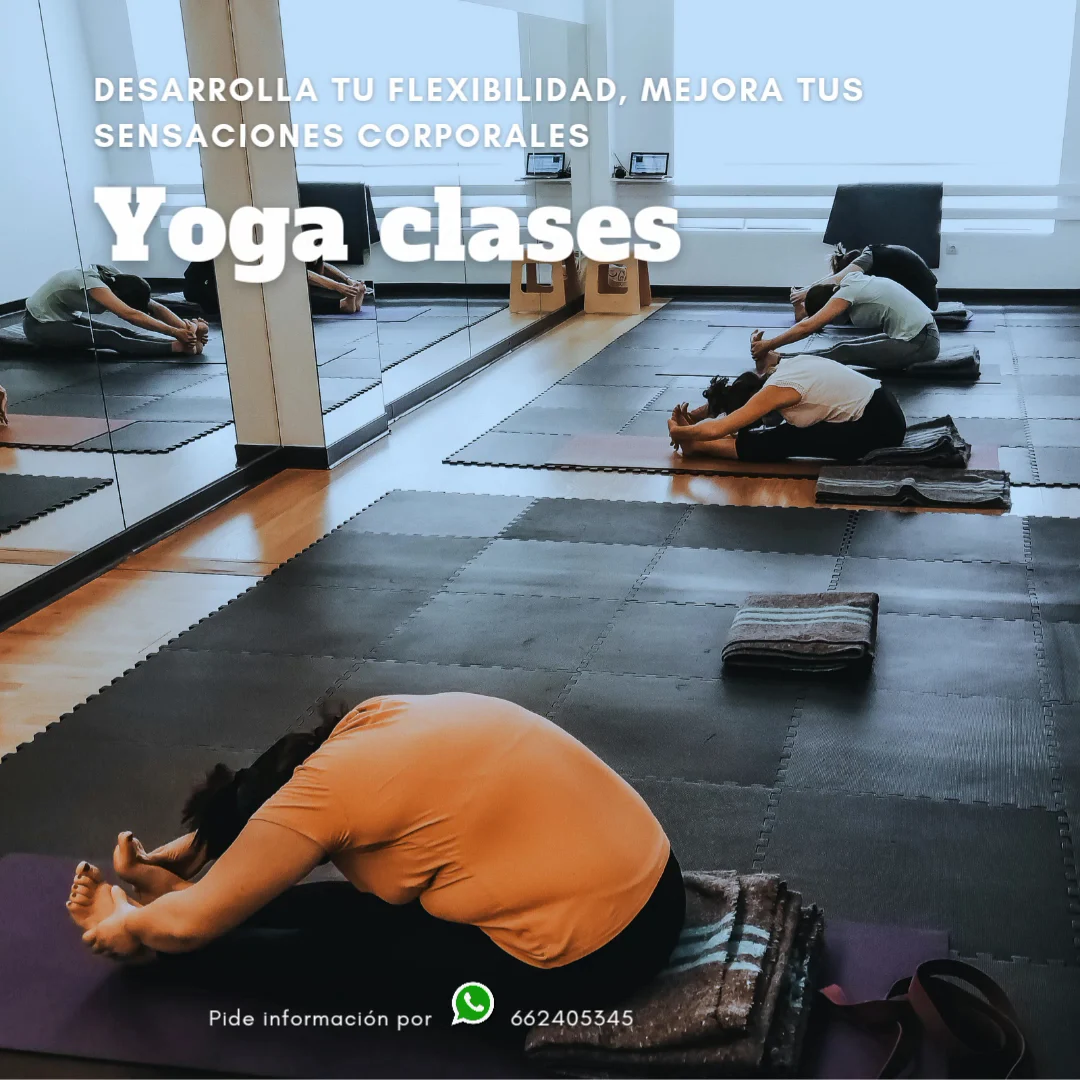 Gimnasio Bemequer (Santiago de Compostela) - 2