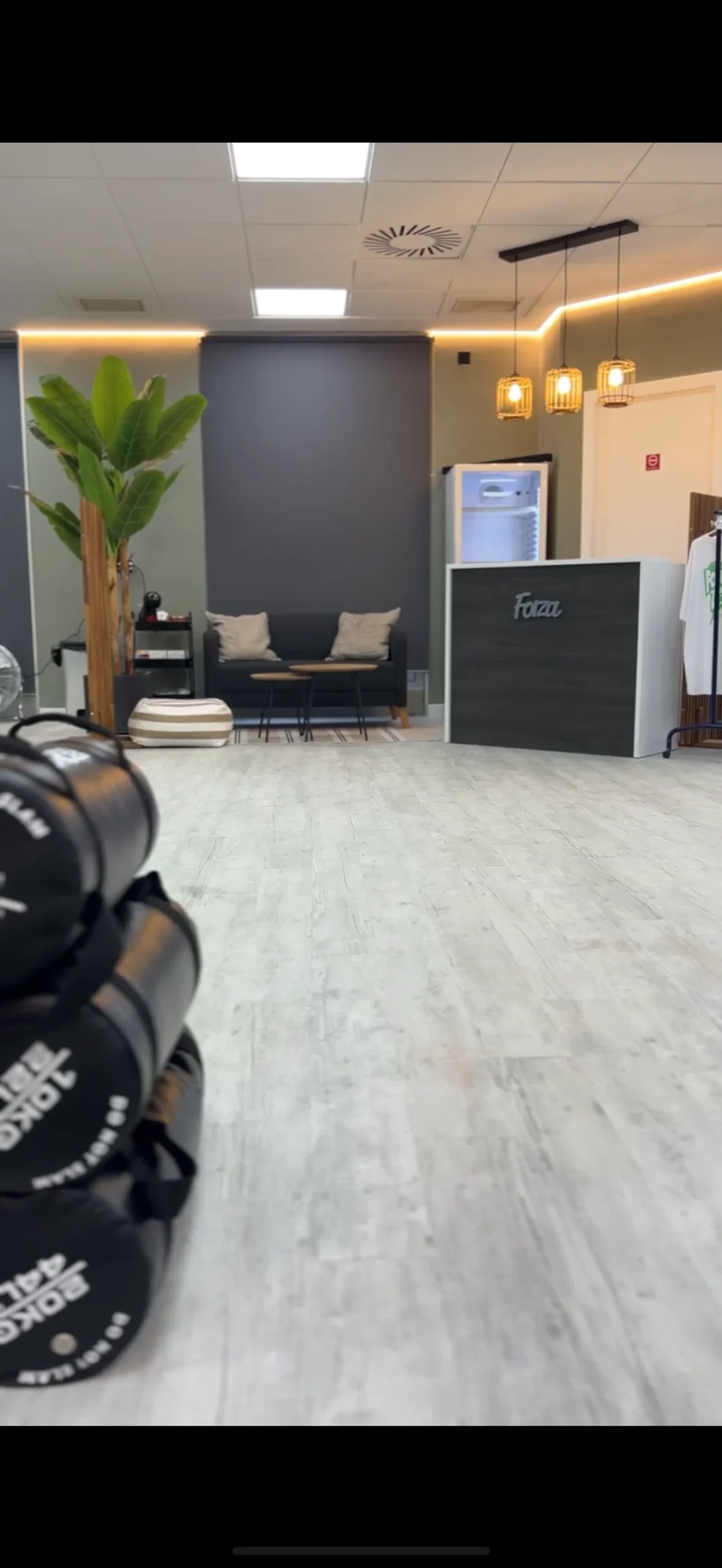 Gimnasio Forza Zenter - 4