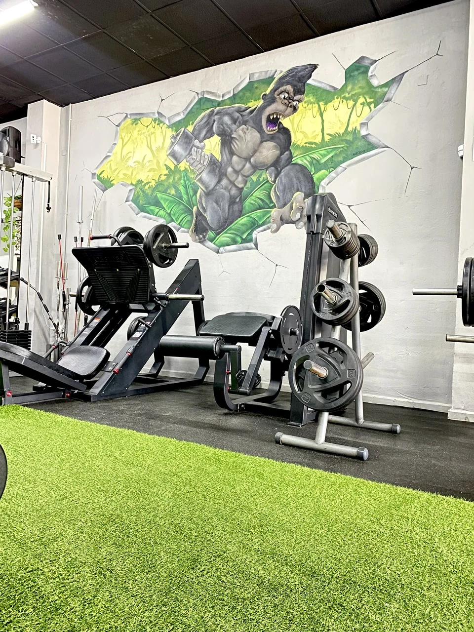 Gimnasio | La Selva Gym - 2
