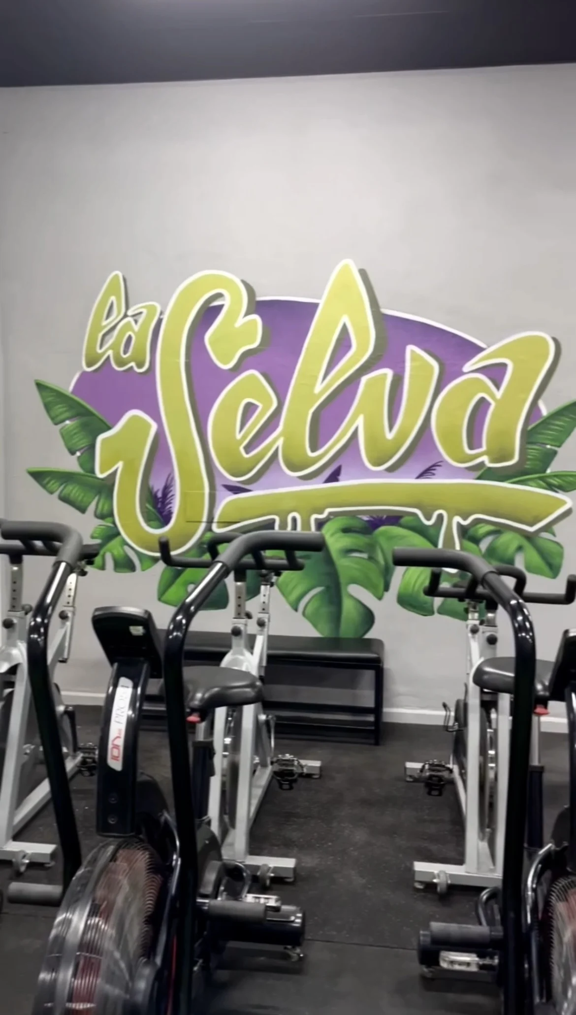 Gimnasio | La Selva Gym - 3