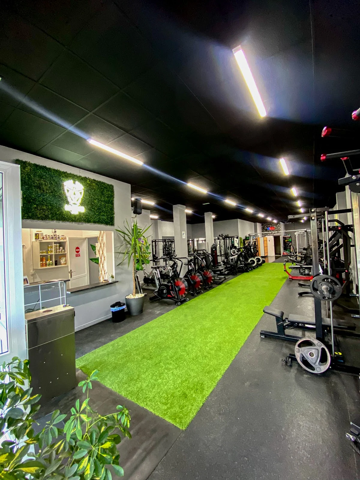 Gimnasio | La Selva Gym