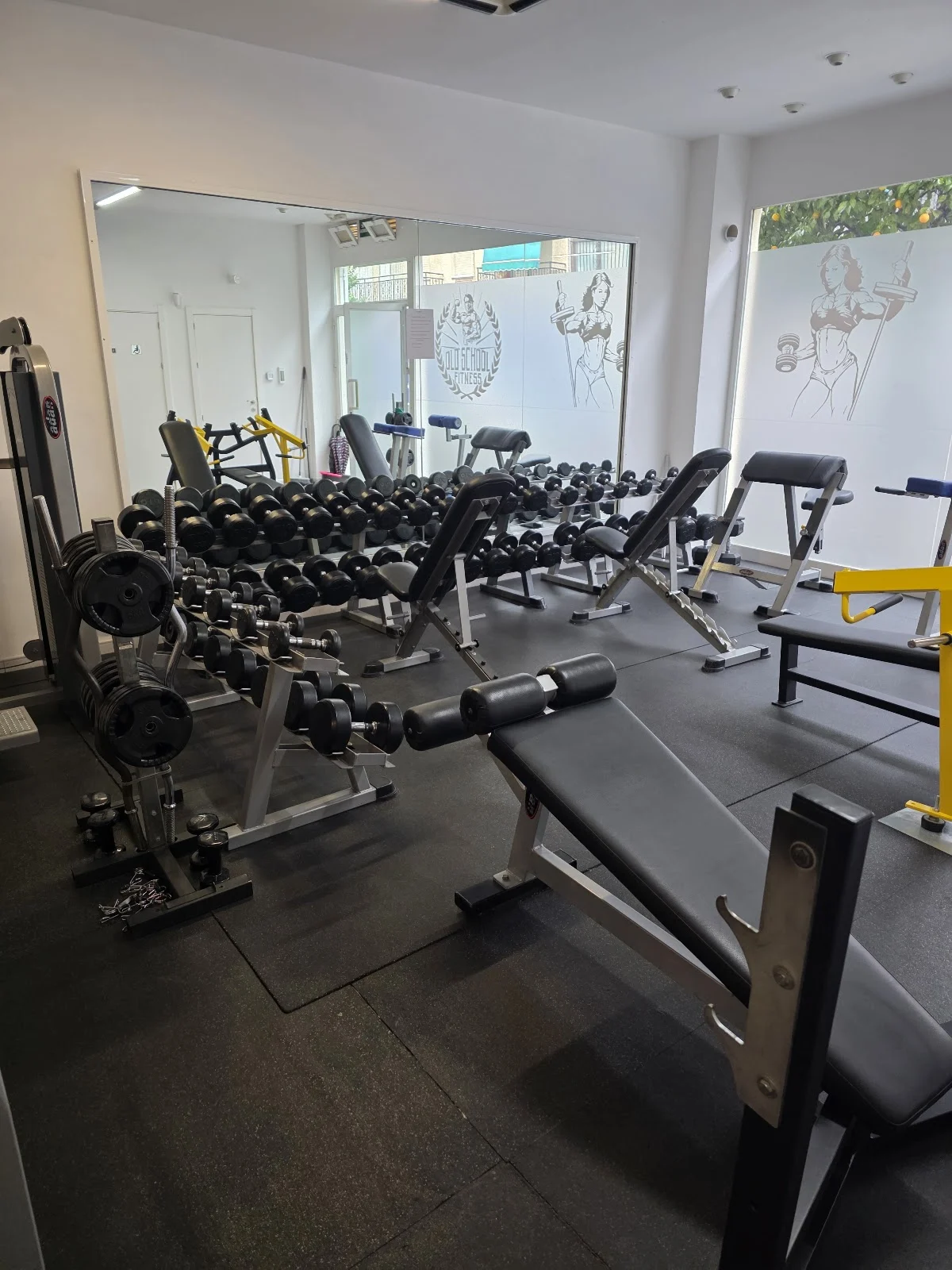 Gimnasio Old School Fitness - 2