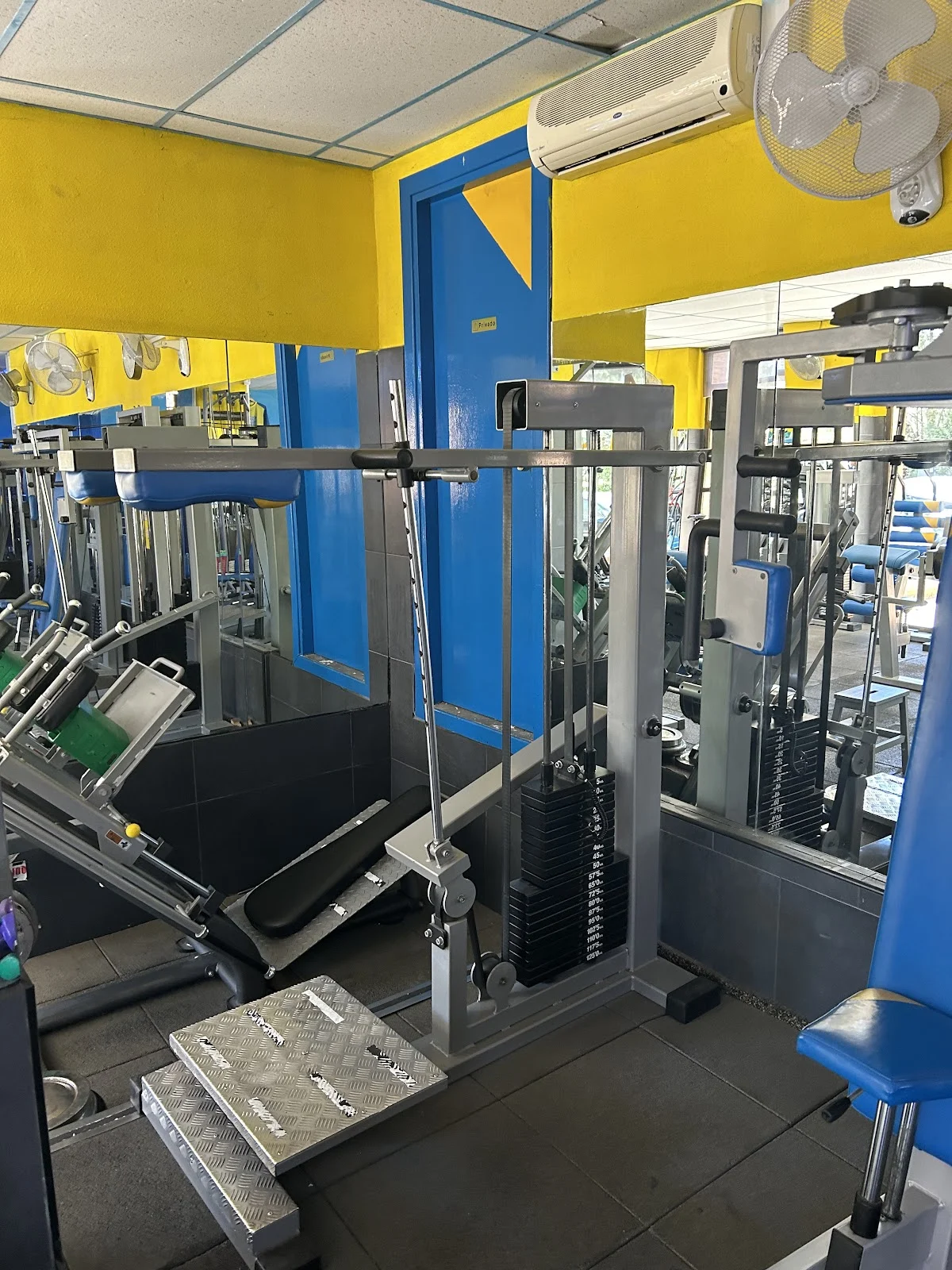 Gimnasio Pika - 2