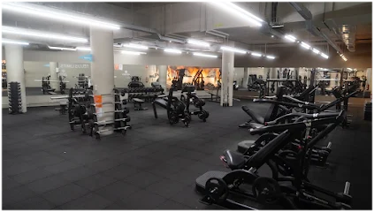 Gimnasio VivaGym Magoria