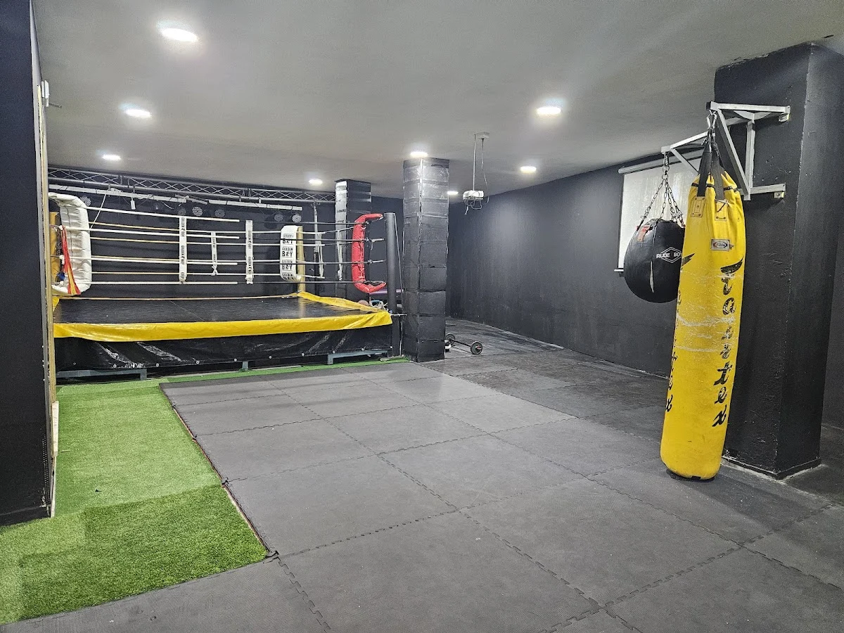 Golden Boy Y Muaythai Estepona