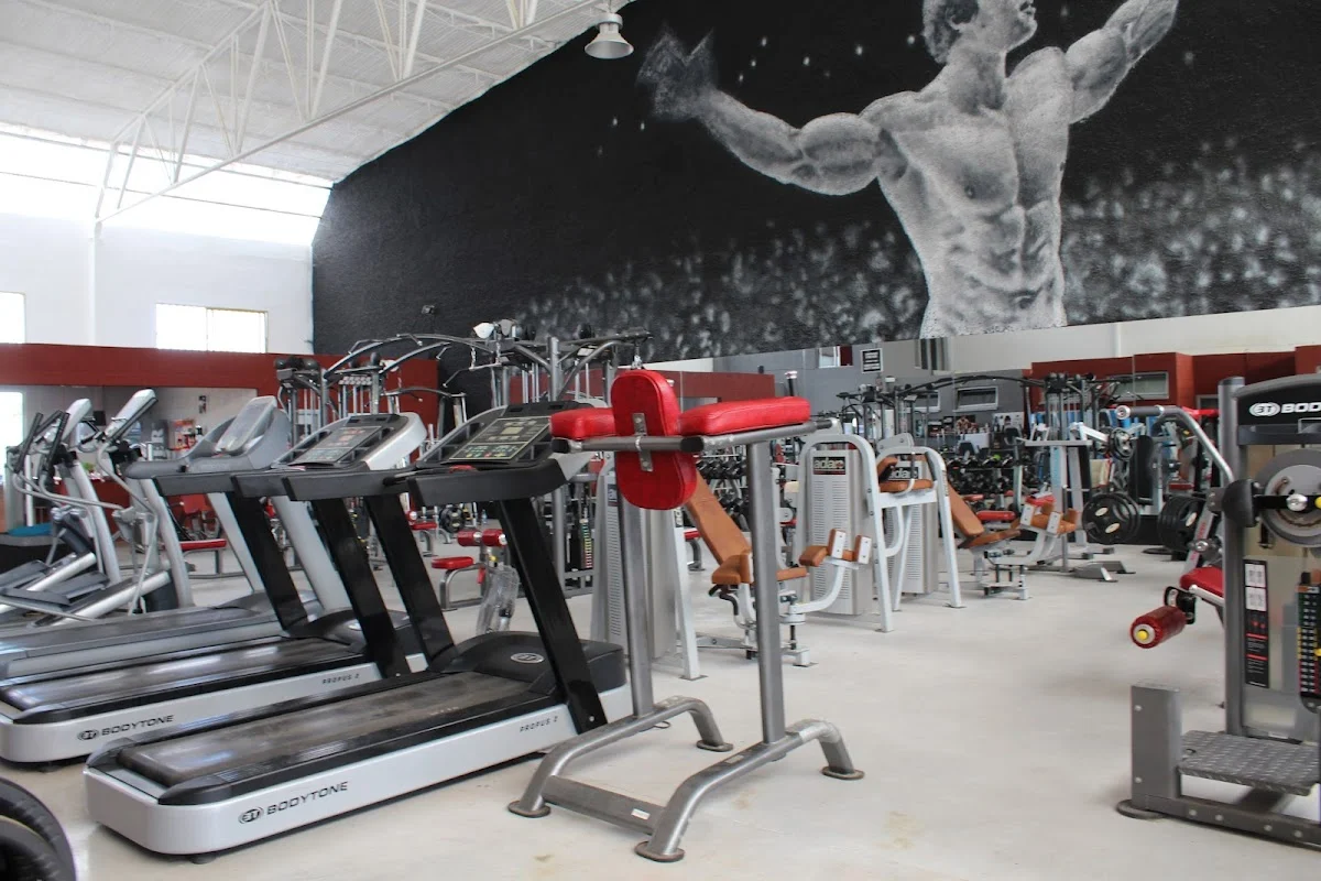 Good Body Fitness