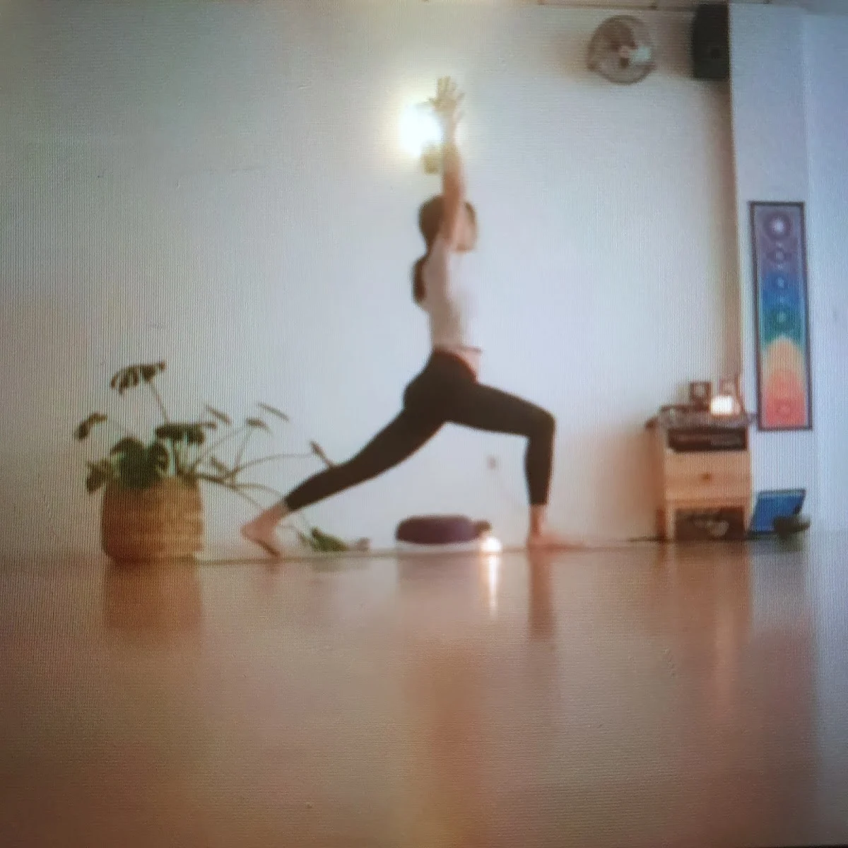 Guruveda Yoga - 2
