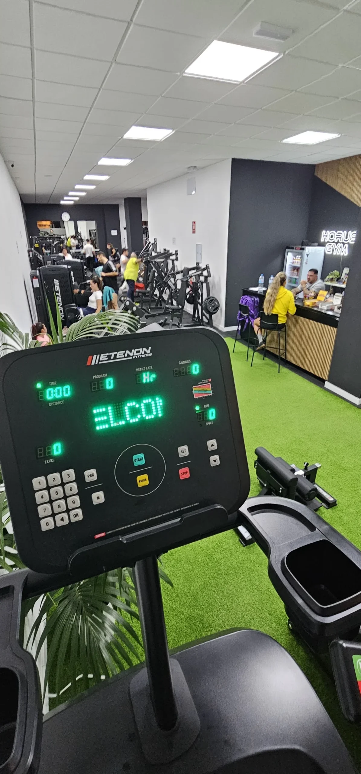 HORUS GYM - 2