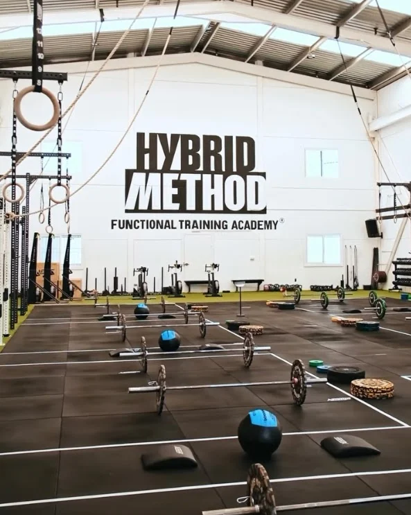 Hybrid Method Martos