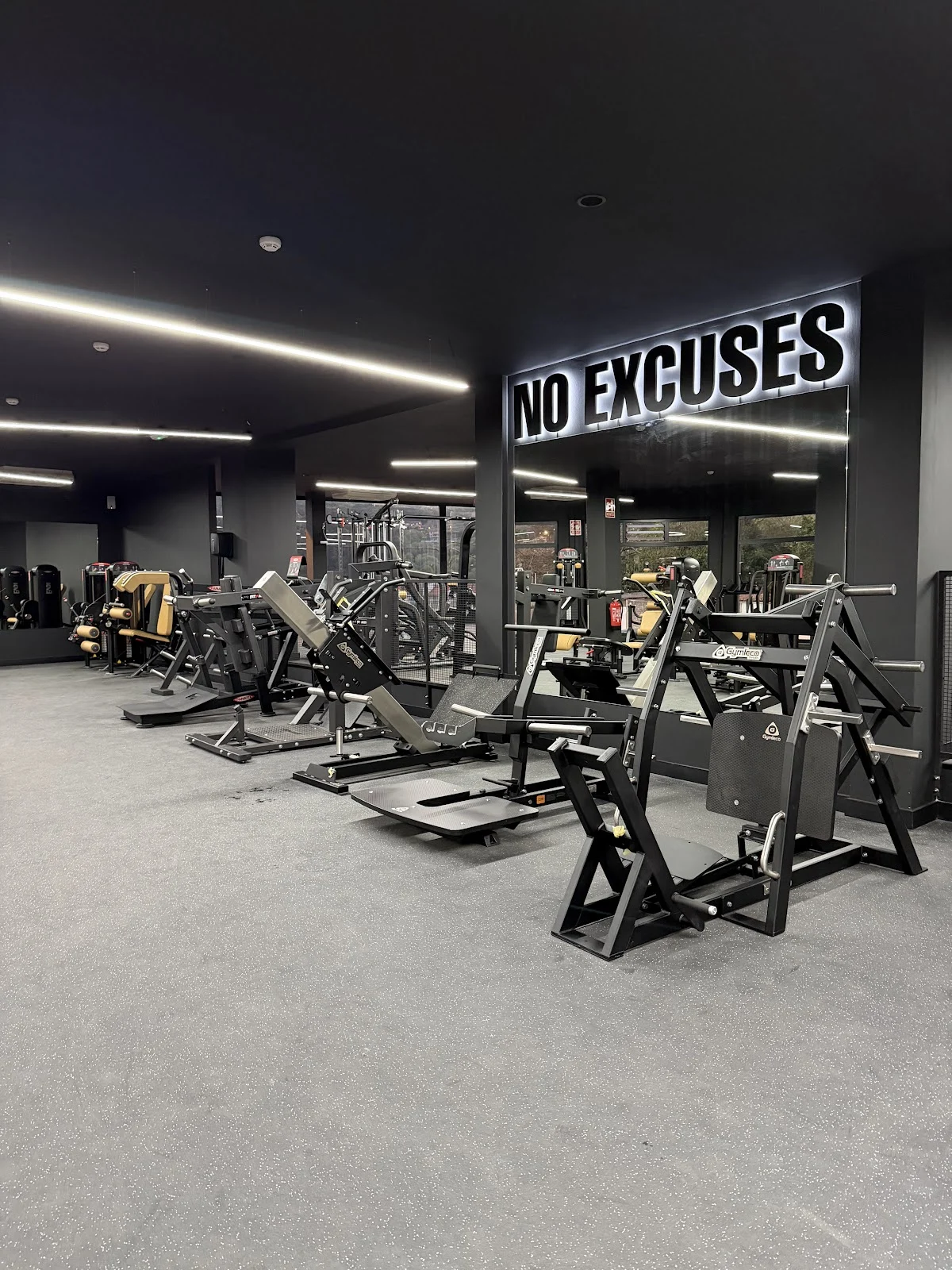 Iron Gym No limits - 3