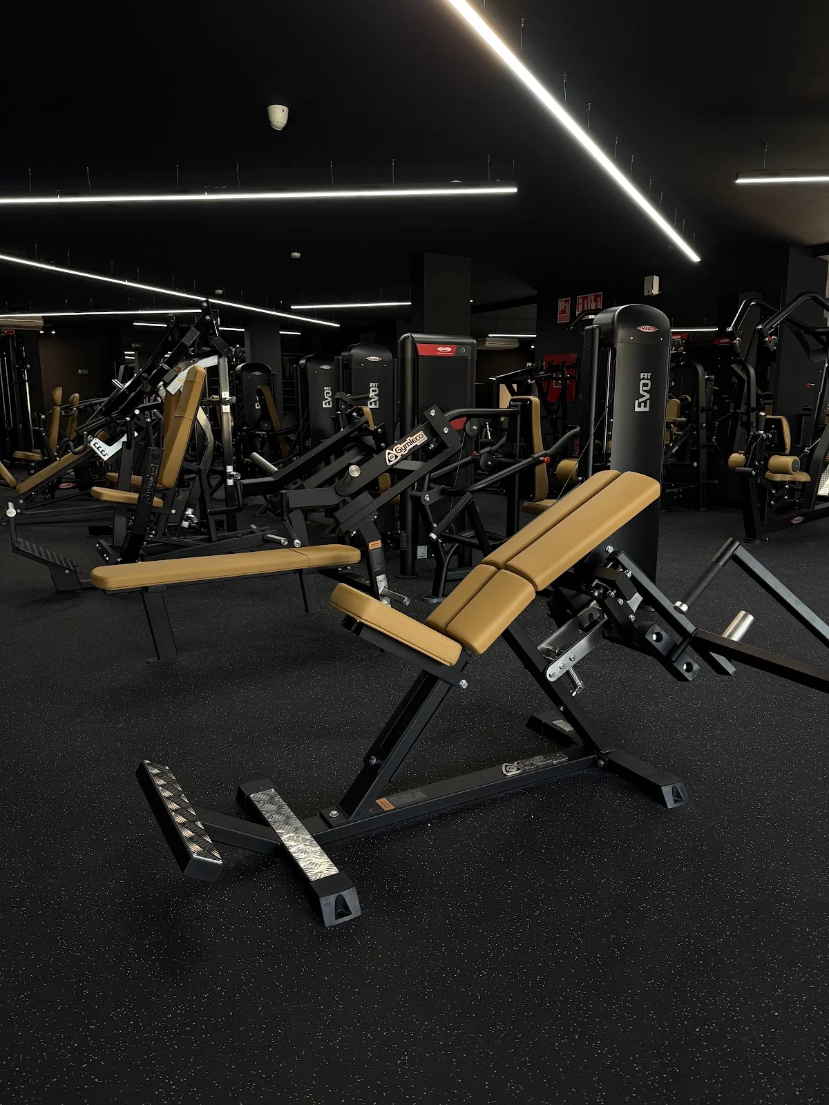 Iron Gym No limits - 6