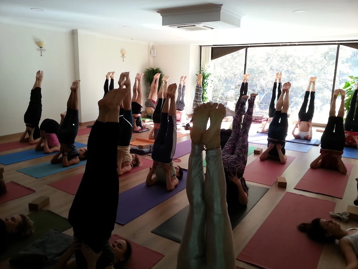 Jivamukti Yoga Barcelona - 2