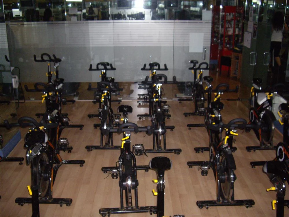 Laudio Wellness S L