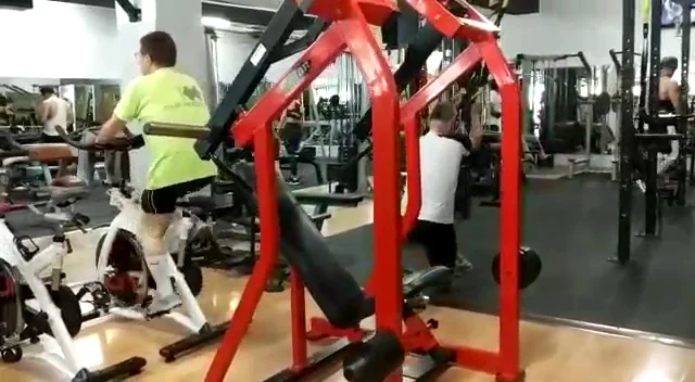 Lizard Gym - 2