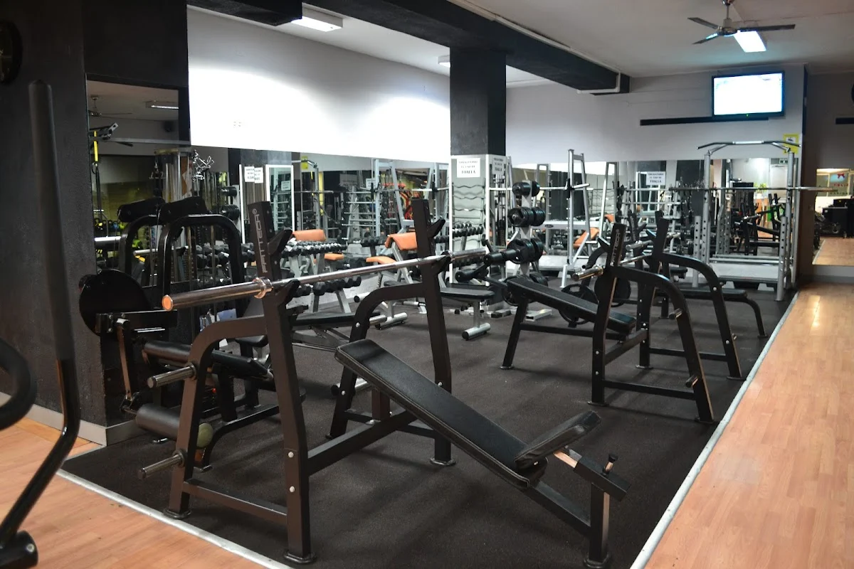 Lizard Gym - 3