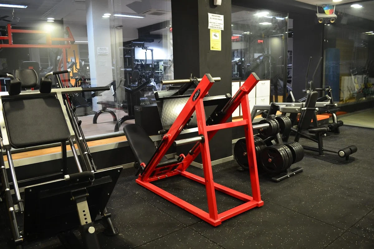 Lizard Gym - 4