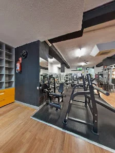 Lizard Gym - 5