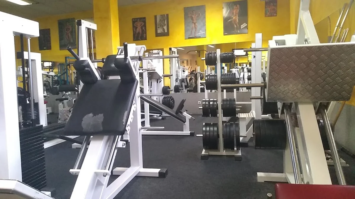 Méndez GYM - 2