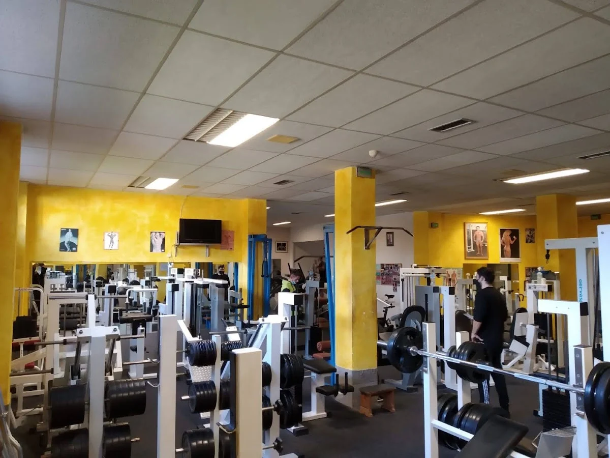 Méndez GYM - 4