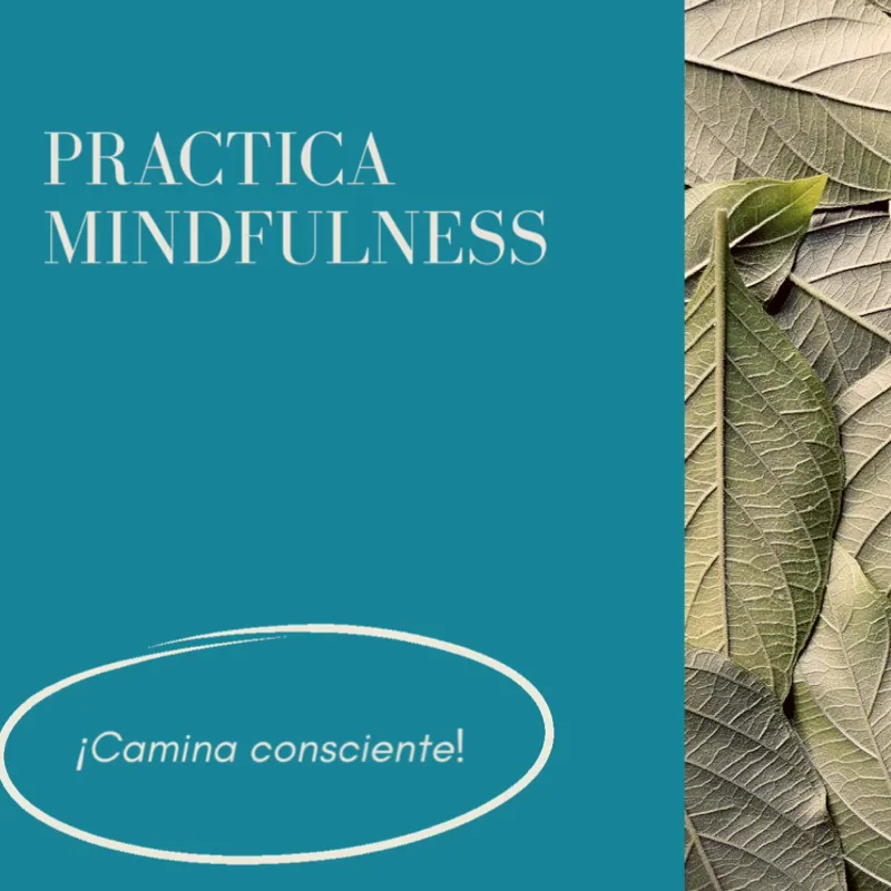 MINDFU Mindfulness Fuenlabrada - 2