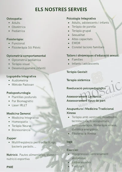 MOSAIC. Molins Salut Integrativa Conscient.