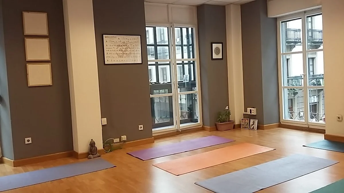 Mysore Shala Yoga - Estefanía Bravo - 2