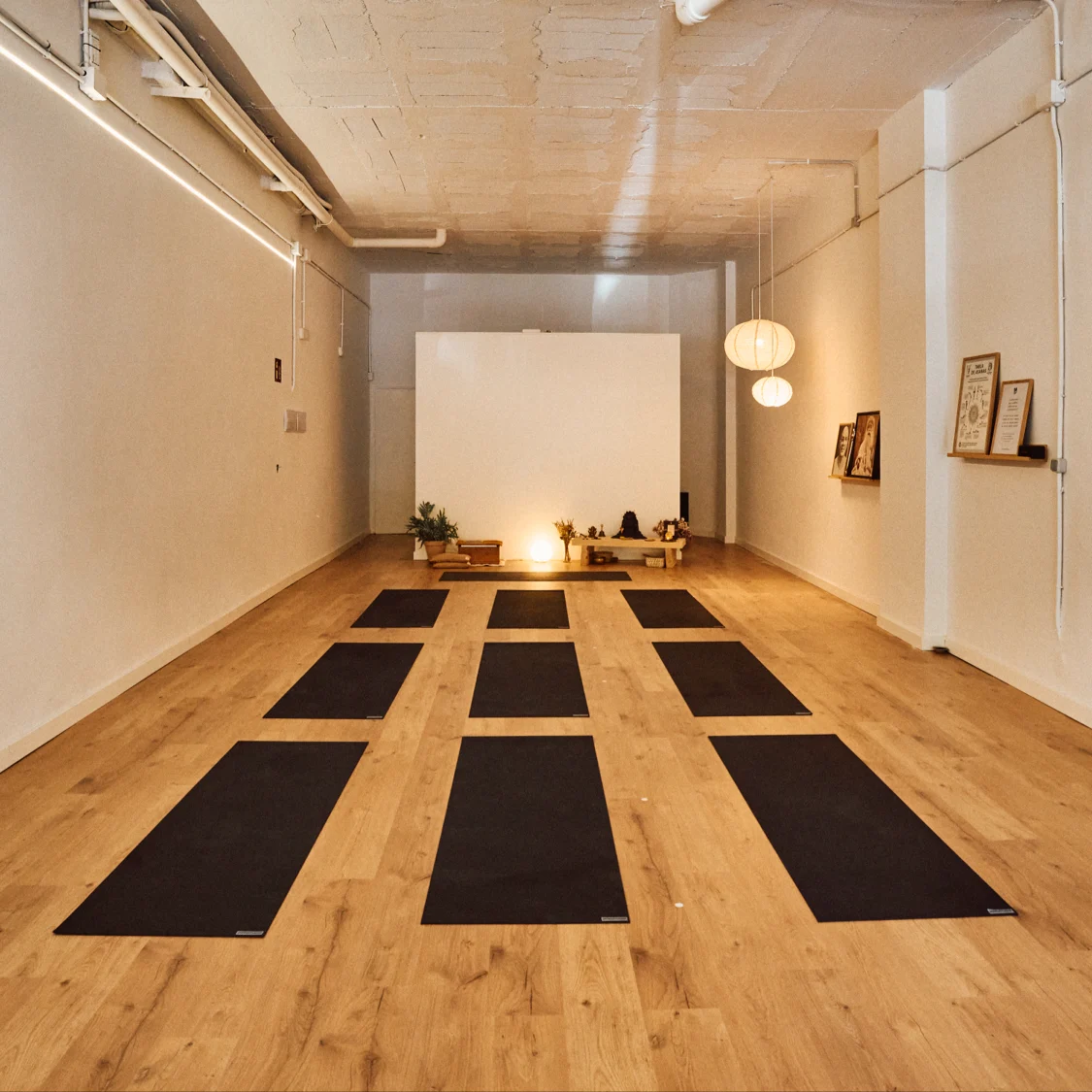 Naga Hatha Yoga