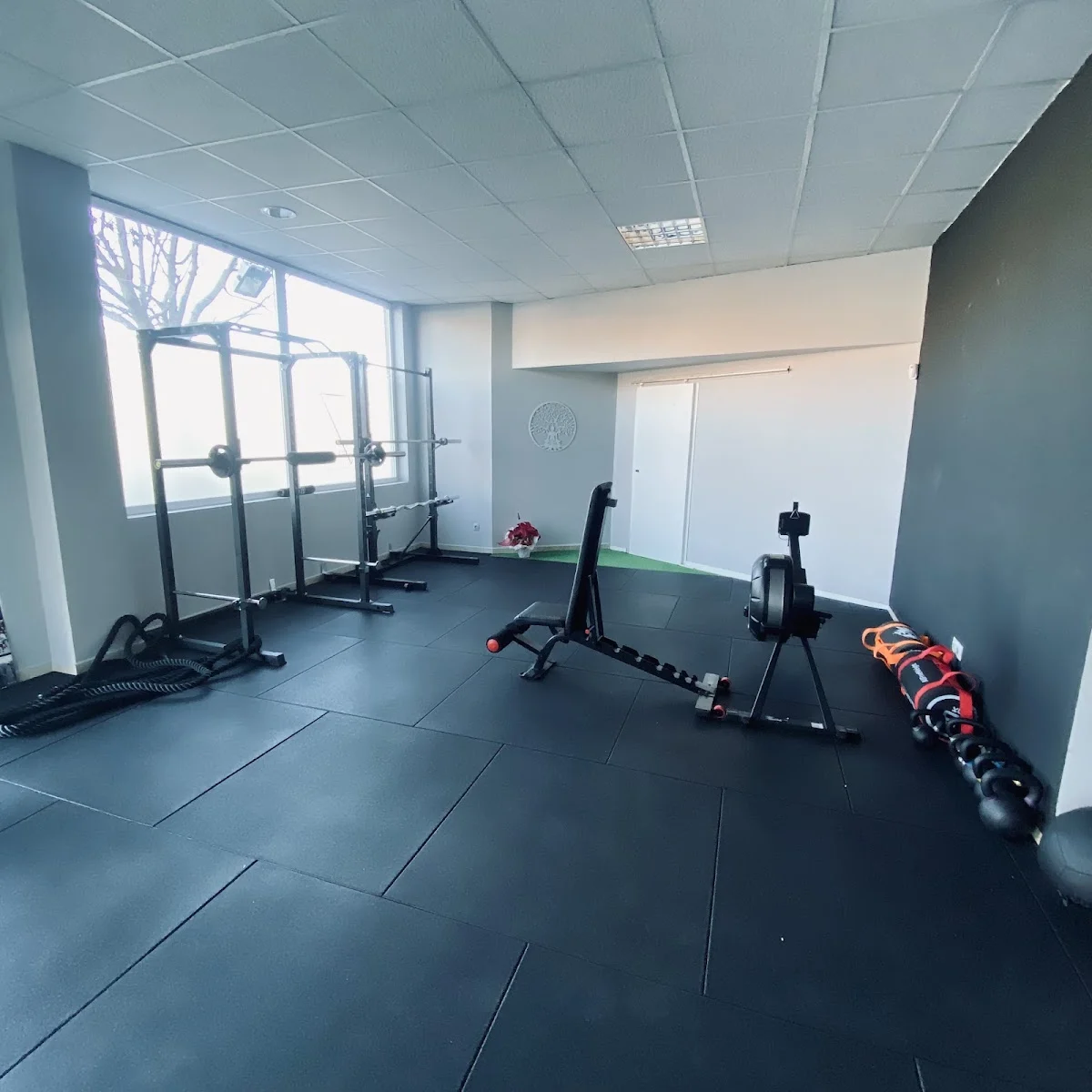 Nashira Entrenamiento Personal