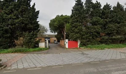 nogym