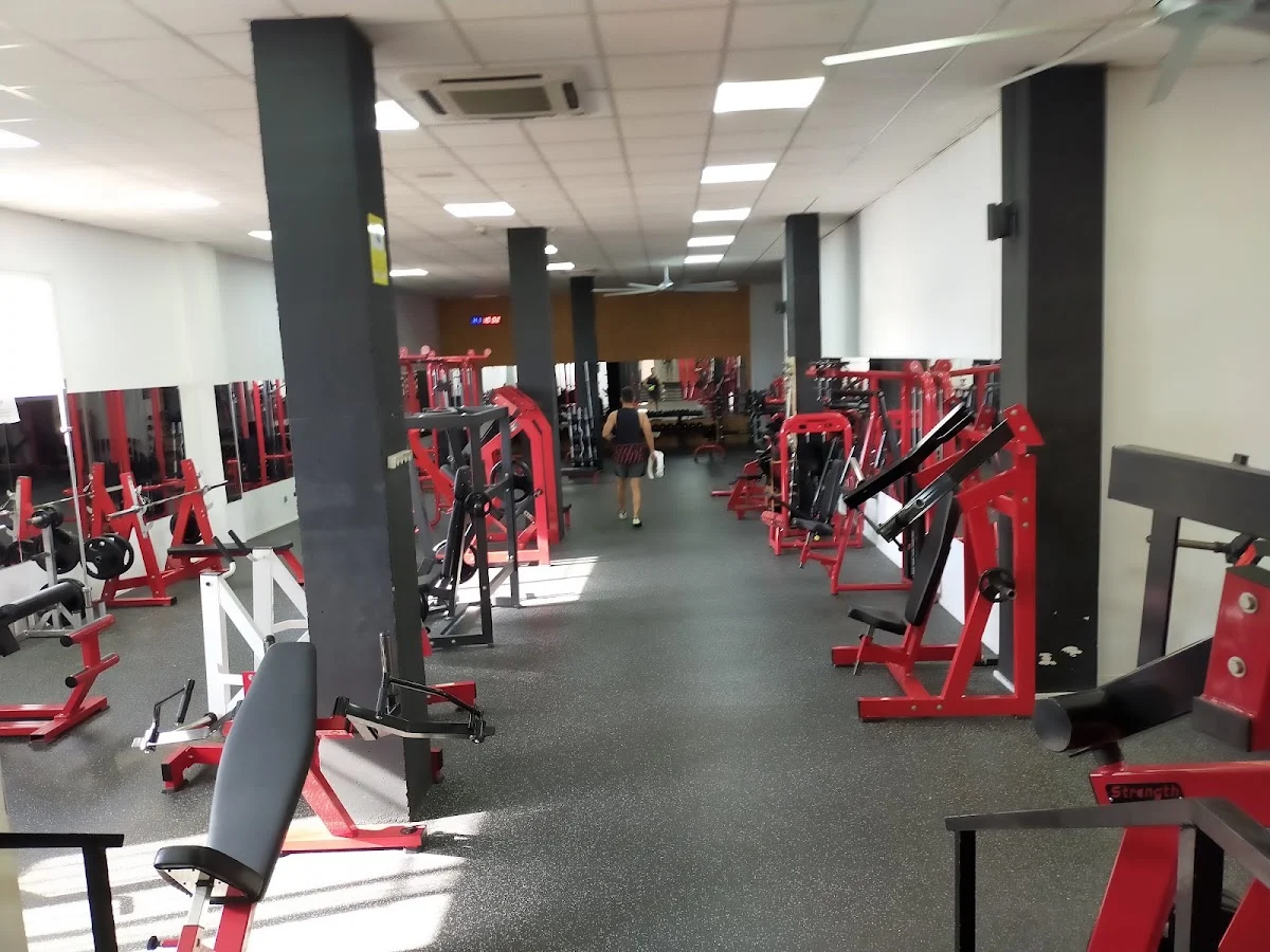 Osfit - 2