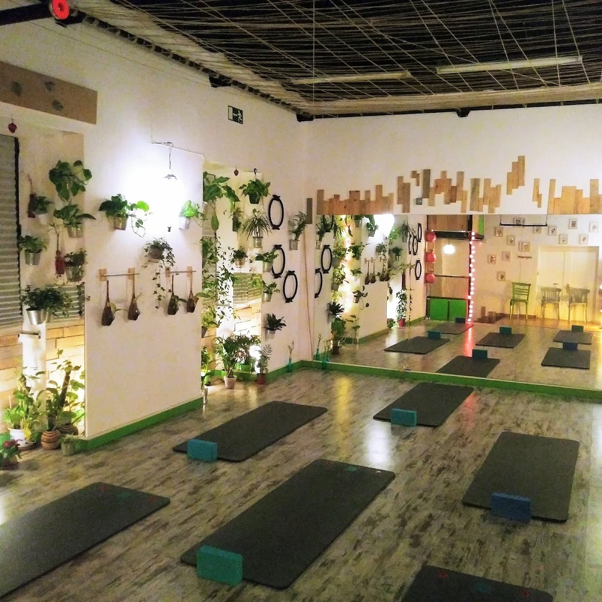 Pilates & Yoga Pura Vida
