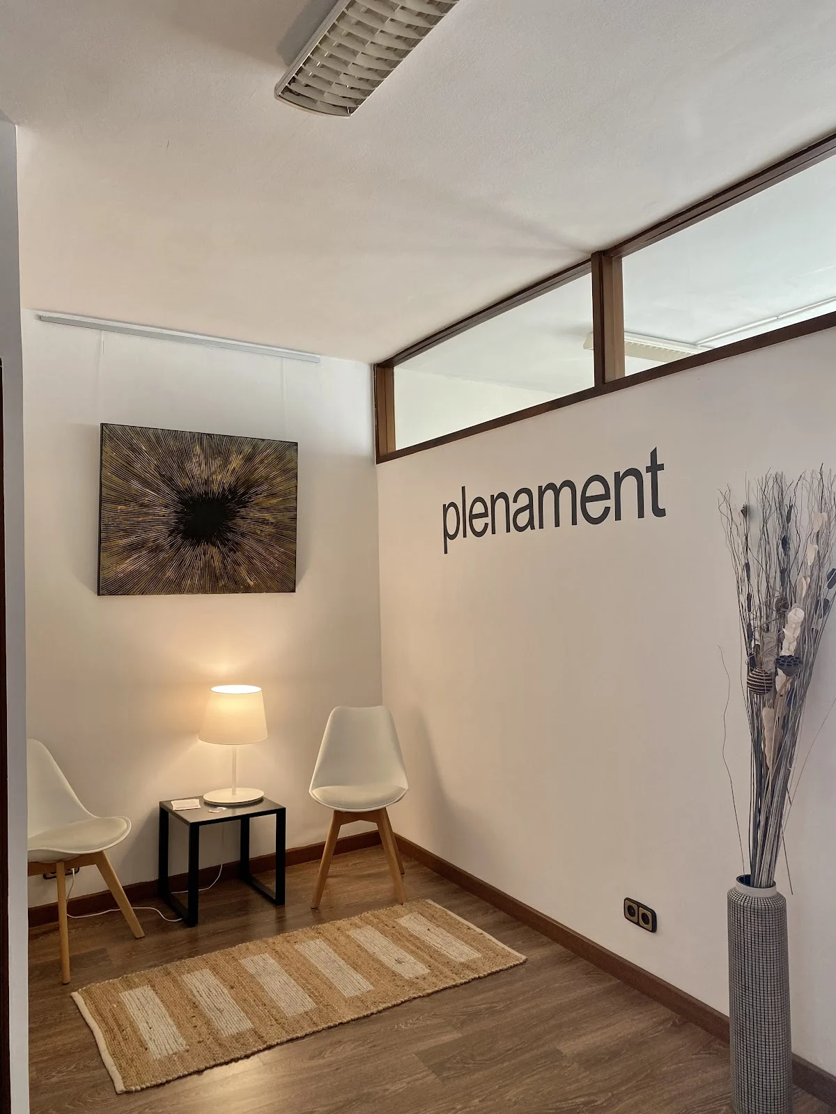 Plenament Psicoteràpia - 2