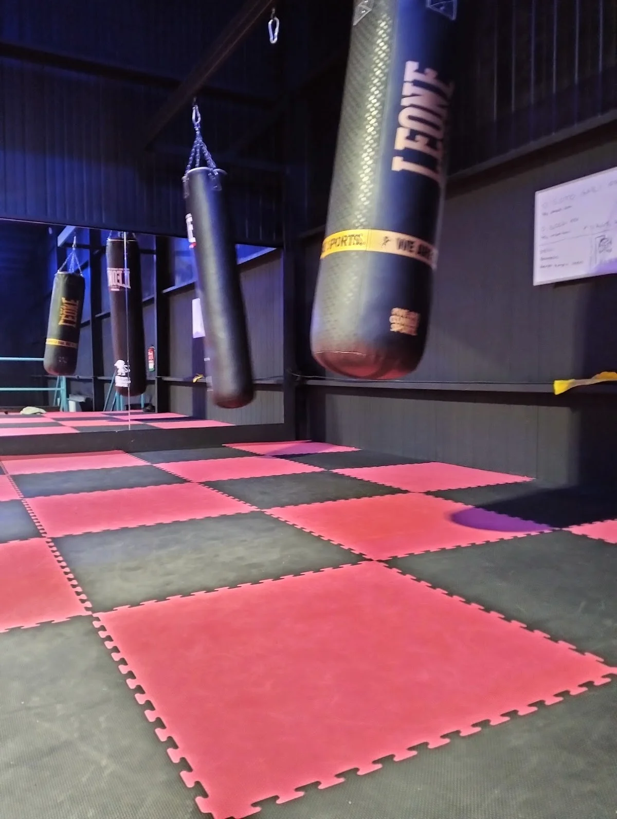 Power gym arena balaguer