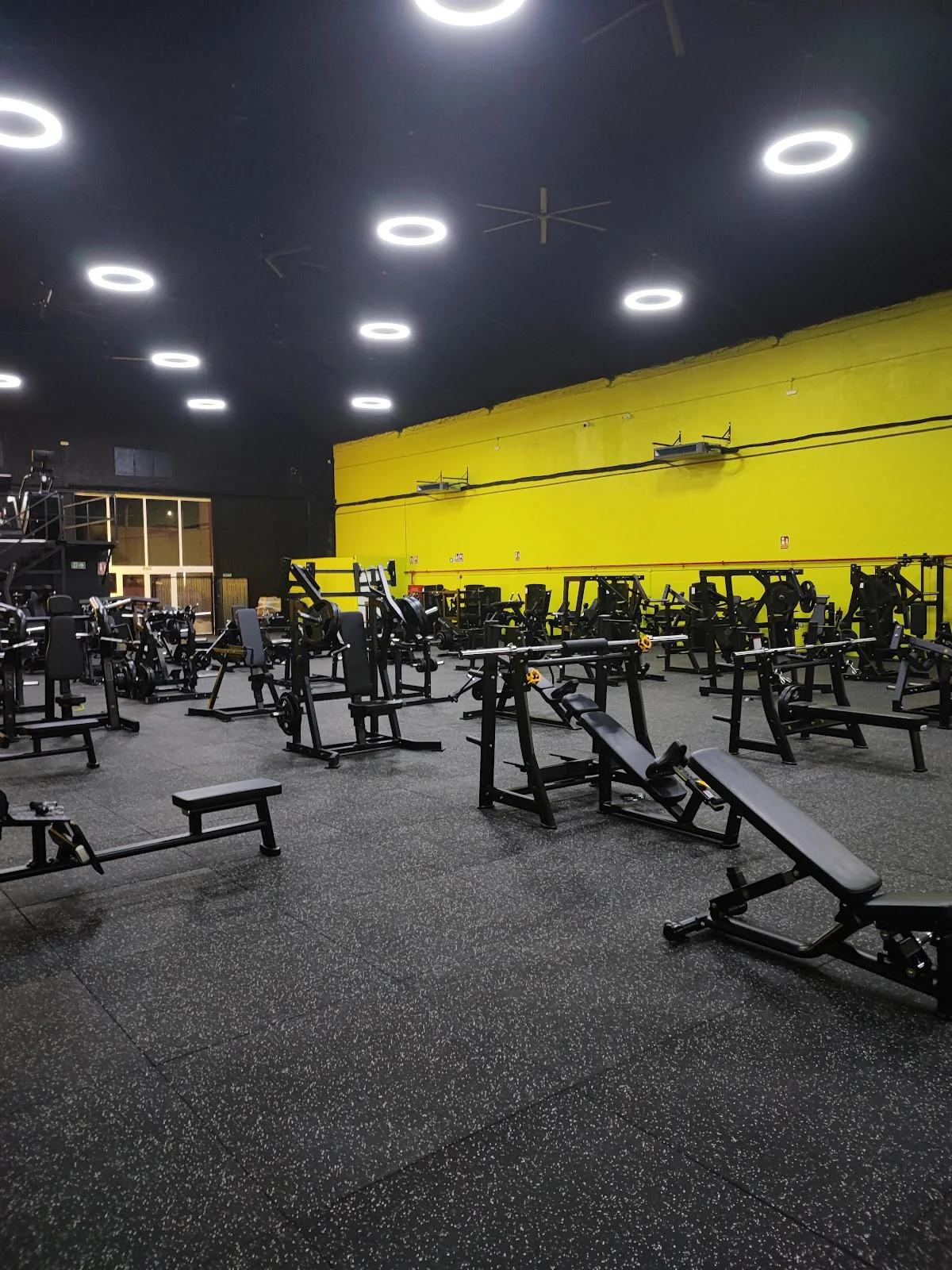 Pro-Fit Baza - 3