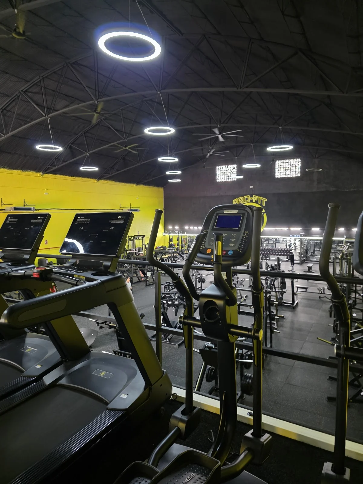 Pro-Fit Baza - 4