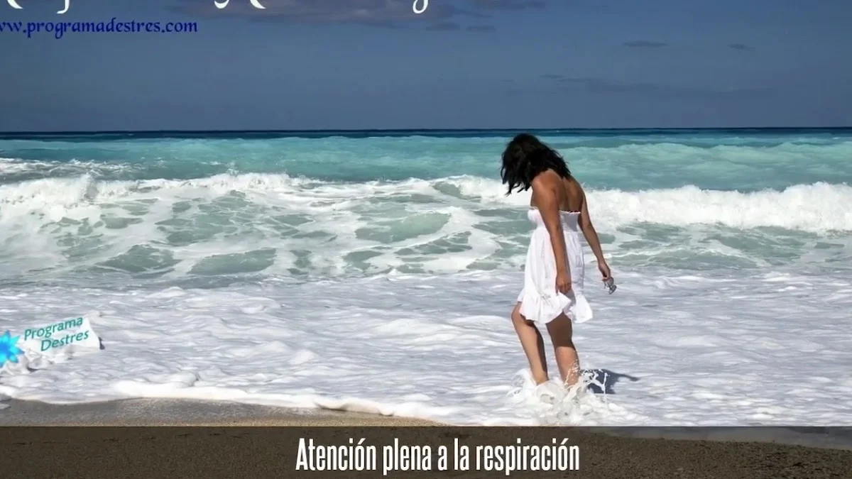 Programa Destres - 2