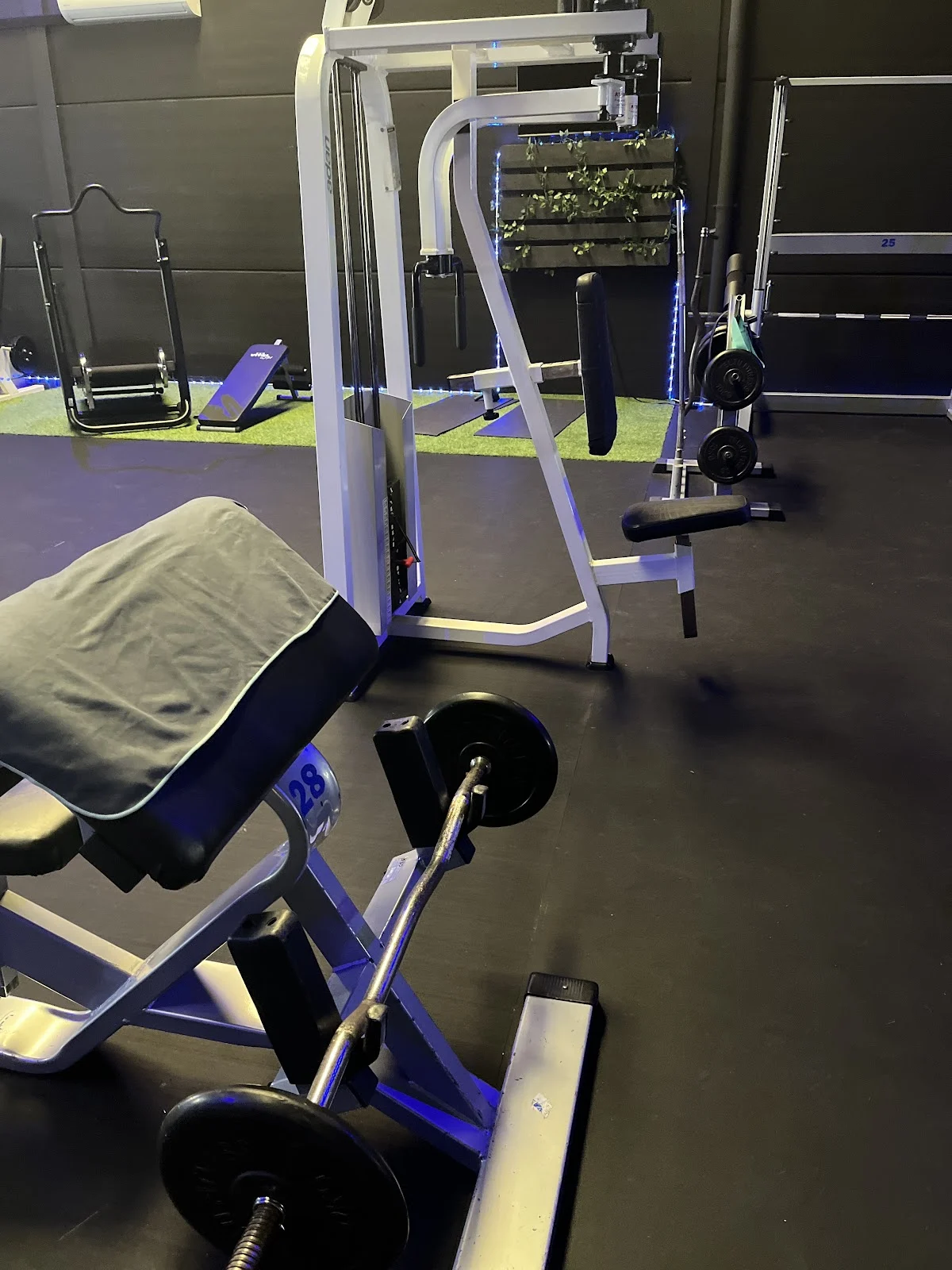 ROMAN PRIVATE FITNESS CLUB - 4