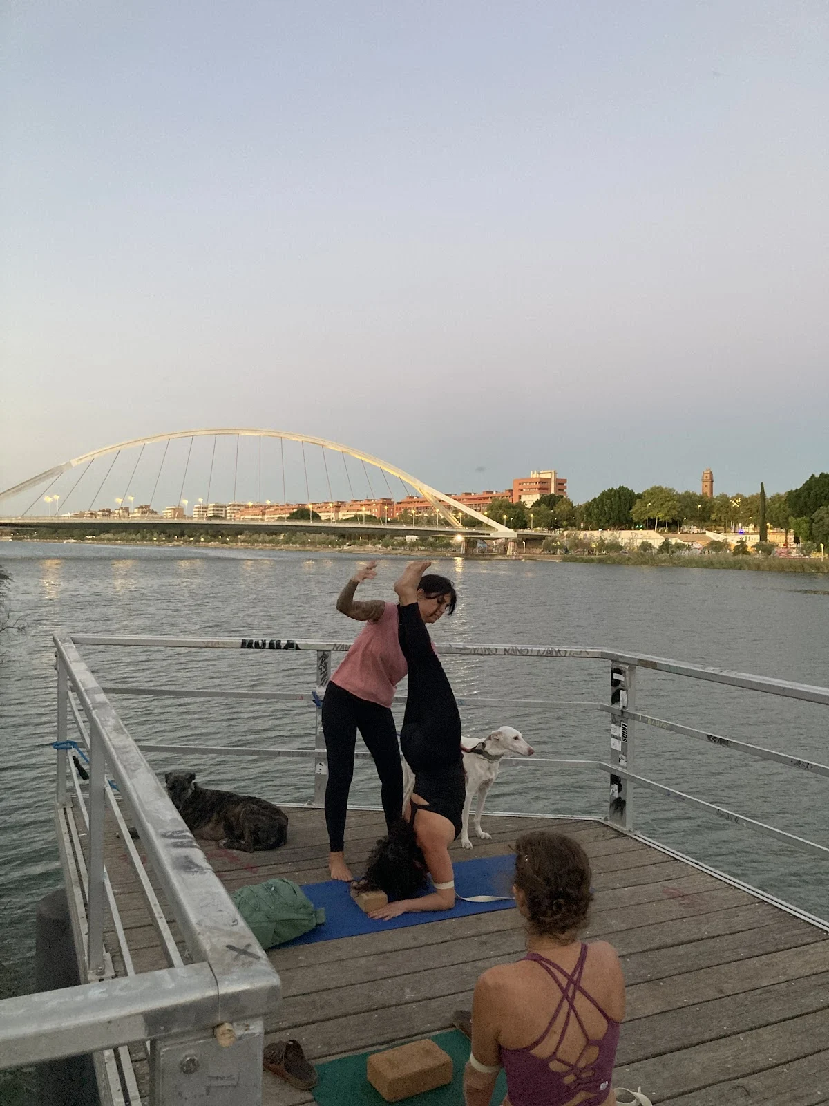 Rosario vinyasa Yoga