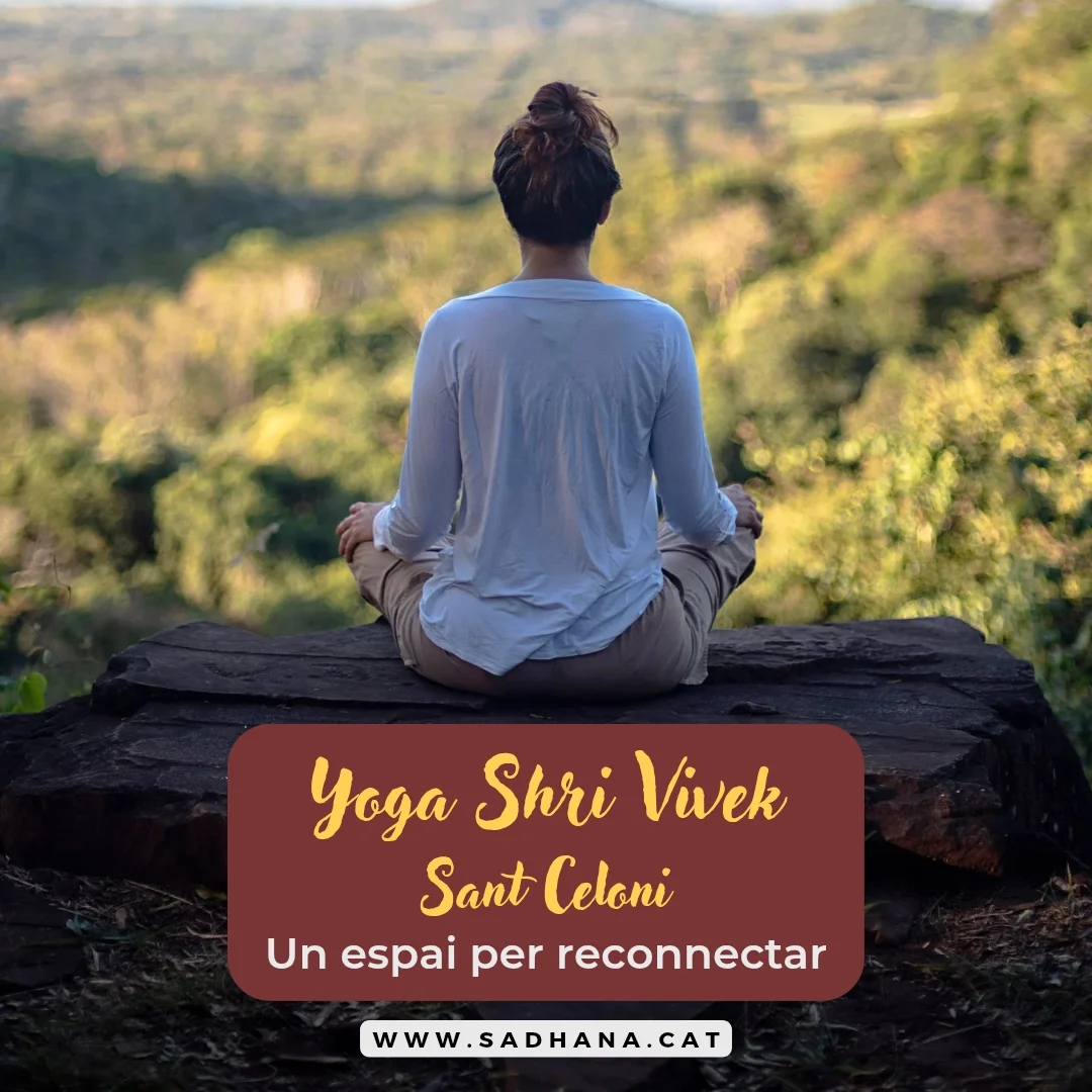 SADHANA Yoga Shri Vivek & Masaje Ayurveda - 2