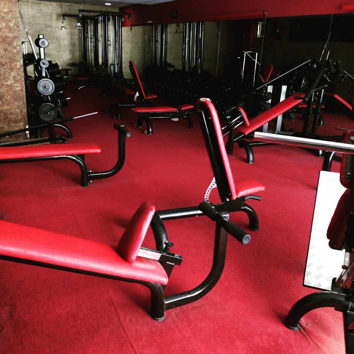 Sala arsen gimnasio - 2