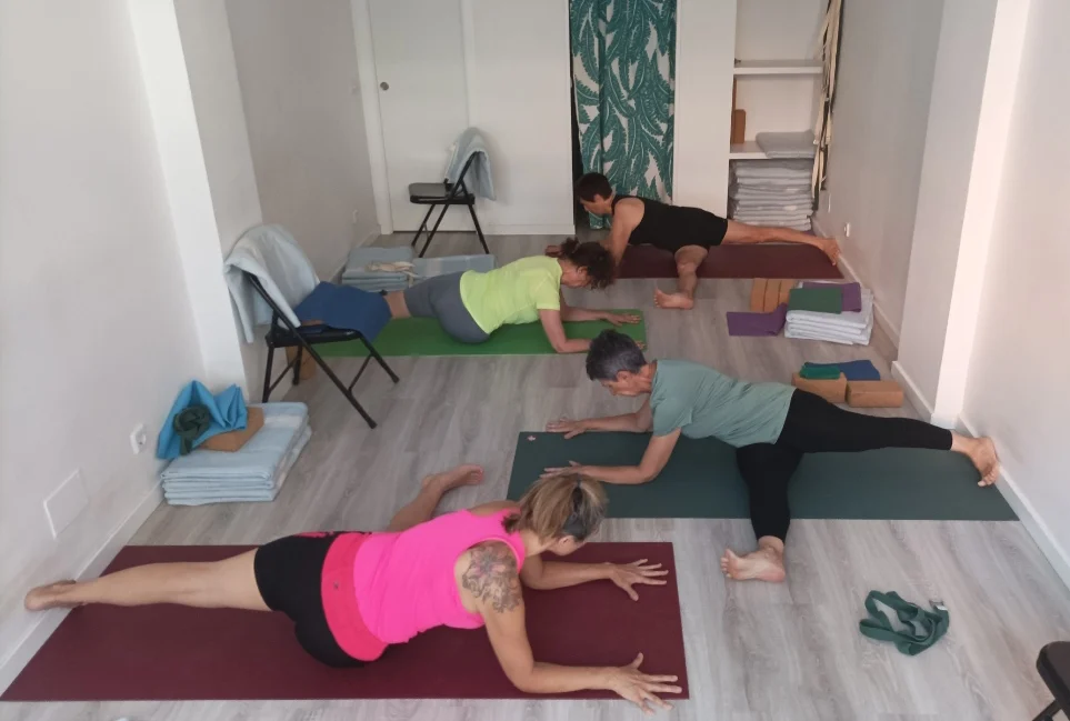 Salamandala Yoga - 2