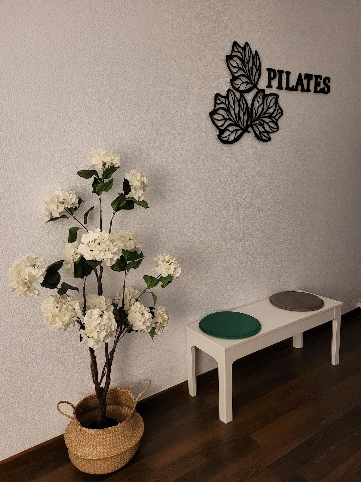 Salud Activa Marbella, PILATES MÁQUINAS. instructora Eva Gámez - 2