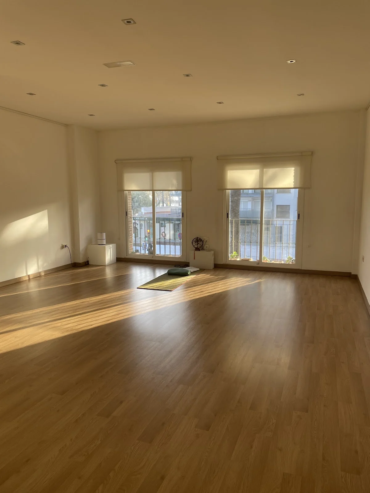 Santosa Yoga