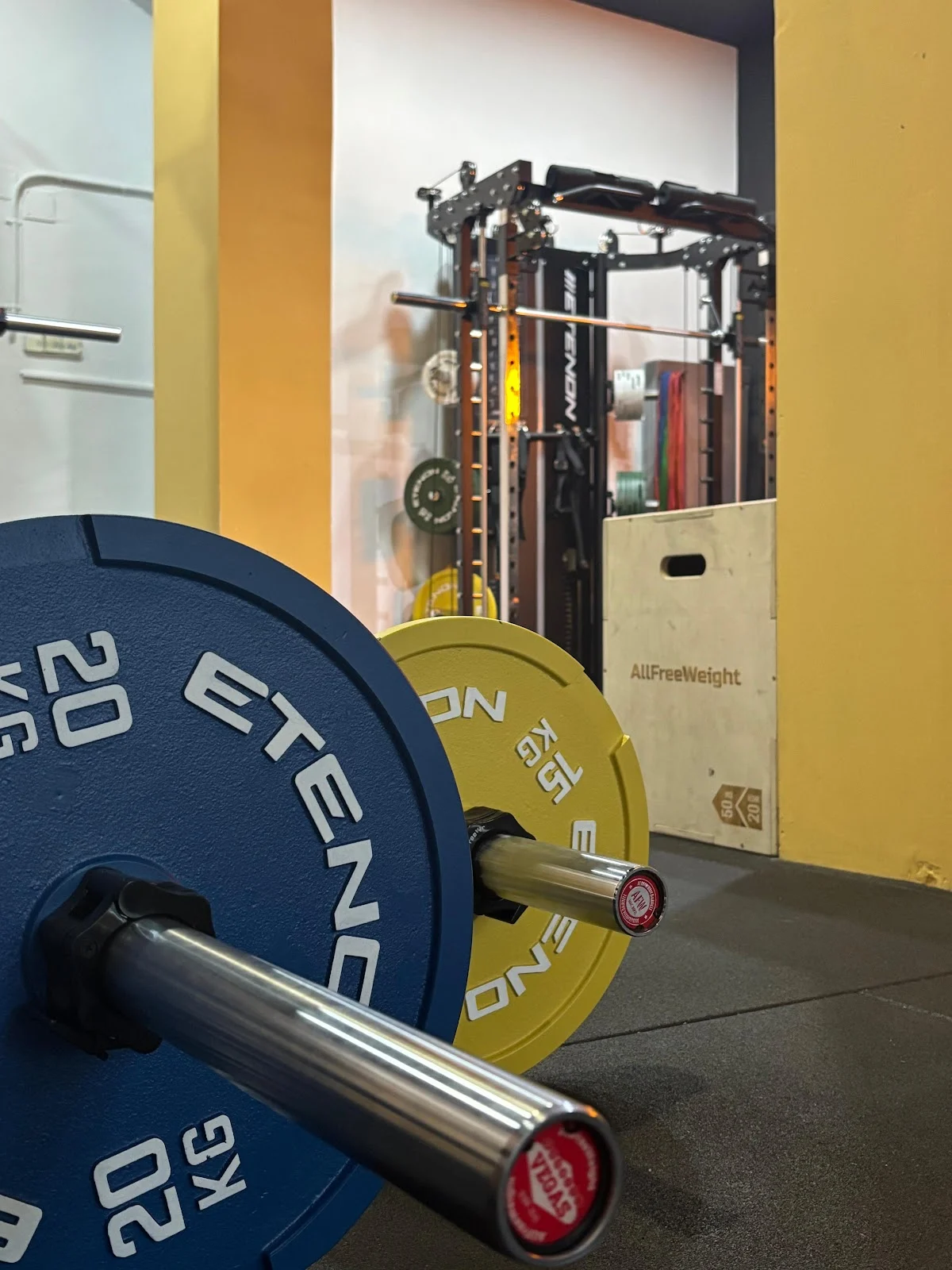 Sapiens - Entrenamiento funcional en Alcobendas - 3