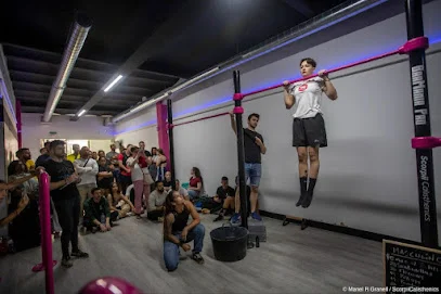 Scorpii Calisthenics Academy